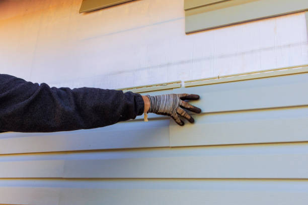 Best Aluminum Siding Installation  in Seacliff, CA